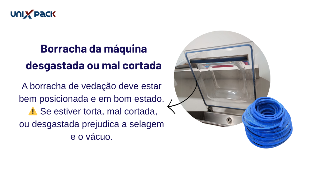 A borracha tem que estar em perfeitas condições (Banner para YouTube) (2)